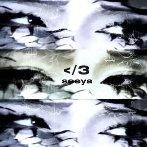 女人裸体丝袜在线观看
