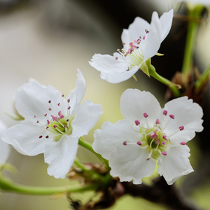 女人裸体丝袜在线观看
